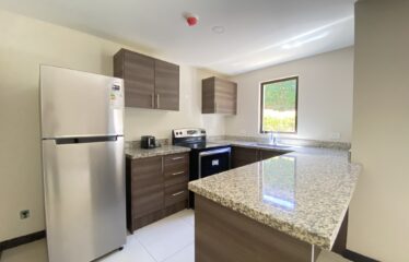Venta de apartamento en condominio en Santa Ana (con inquilino)