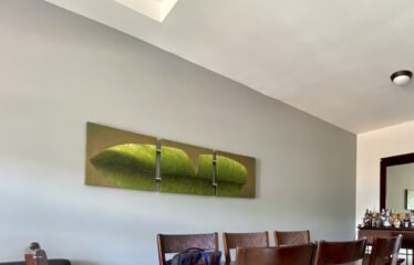 Furnished apartment for rent in Tres Ríos