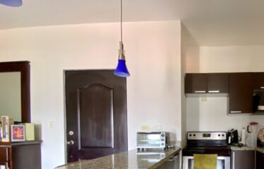 Furnished apartment for rent in Tres Ríos