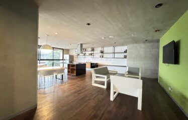 Alquiler de apartamento en Freses Curridabat