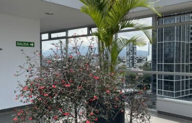 Conectividad y Estilo: Apartamento Ejecutivo en Nunciatura Flats [Incluye Linea Blanca]