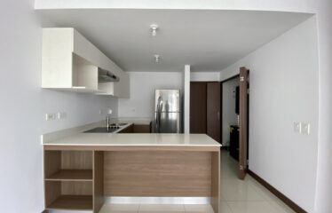 Conectividad y Estilo: Apartamento Ejecutivo en Nunciatura Flats [Incluye Linea Blanca]