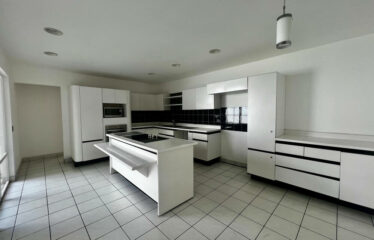 Alquiler de casa en Sabana Sur (uso de suelo mixto)