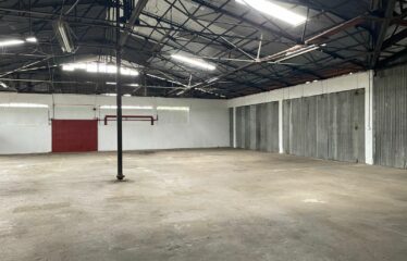 Warehouse rental in Curridabat