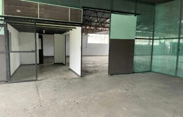 Warehouse rental in Curridabat