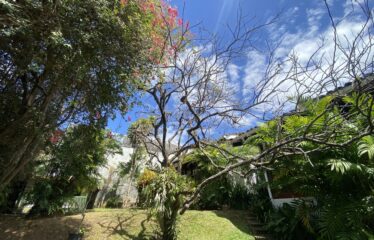 House for rent in Guayabos, Curridabat (mixed use)