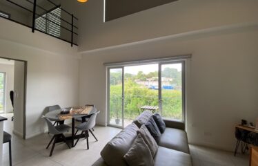 Loft en alquiler en condominio en Pinares, Curridabat