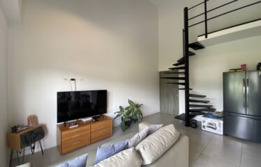 Loft en alquiler en condominio en Pinares, Curridabat