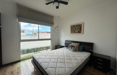 Alquiler de Apartamento en Bambú Eco Urbano, San Sebastián