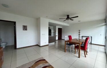 Alquiler de Apartamento en Bambú Eco Urbano, San Sebastián