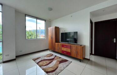 Alquiler de Apartamento en Bambú Eco Urbano, San Sebastián