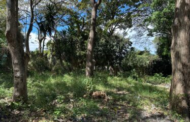 Lot for Sale Pavas, San José