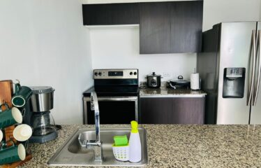 Fully Furnished Penthouse | Eco-Urban Bamboo