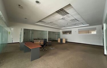 Warehouse for rent in Guachipelín Escazú