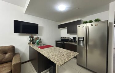 Fully Furnished Penthouse | Eco-Urban Bamboo