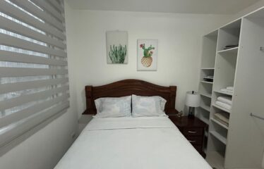 Fully Furnished Penthouse | Eco-Urban Bamboo