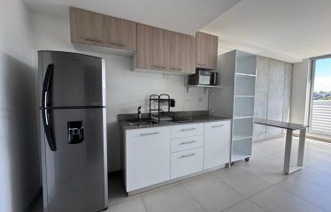 Apartment rental in Freses, Curridabat (with Appliances)