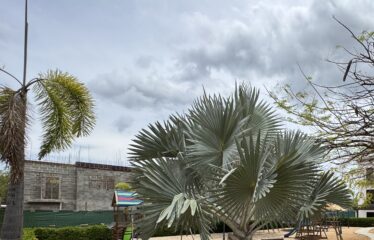 Venta de apartamento en condominio Tamarindo Guanacaste.