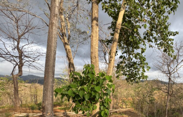 Lot for sale in a condominium in Playa Negra, Guanacaste