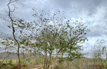 Lot for sale in a condominium in Playa Negra, Guanacaste