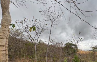 Lot for sale in a condominium in Playa Negra, Guanacaste