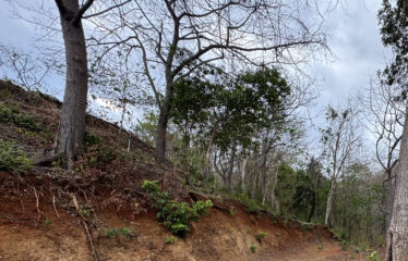 Lot for sale in a condominium in Playa Negra, Guanacaste