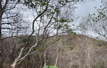 Lot for sale in a condominium in Playa Negra, Guanacaste