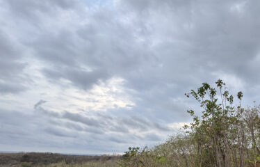 Lot for sale in a condominium in Playa Negra, Guanacaste