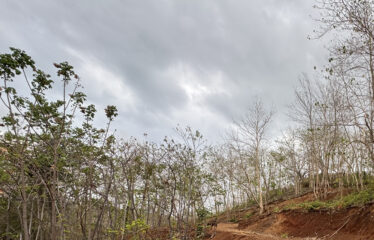 Lot for sale in a condominium in Playa Negra, Guanacaste