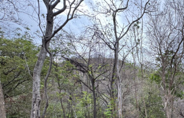 Lot for sale in a condominium in Playa Negra, Guanacaste