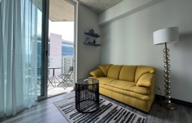 Apartment for sale in Sabana [Fully furnished]