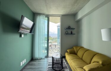 Apartment for sale in Sabana [Fully furnished]