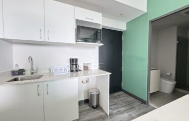 Apartment for sale in Sabana [Fully furnished]