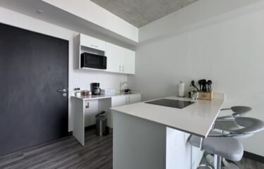 Apartment for sale in Sabana [Fully furnished]