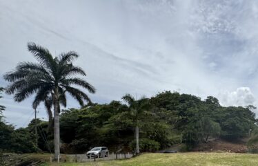 Land for sale in Orotina urbanization