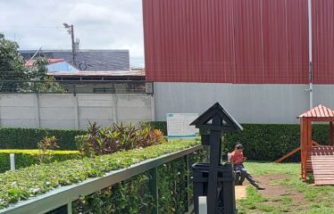 Apartment for Rent | Bamboo Eco Urbano