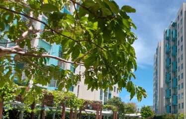 Apartment for Rent | Bamboo Eco Urbano