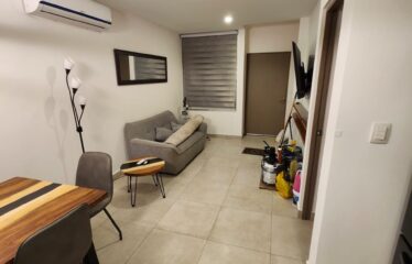 Alquiler de apartamento en condominio en Santa Ana.