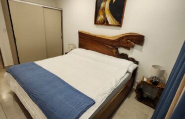 Alquiler de apartamento en condominio en Santa Ana.