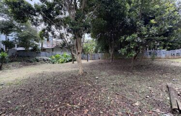 Venta de lote en San Pedro.