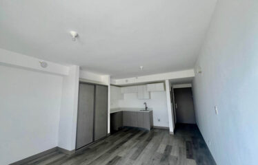 Apartment for rent in a condominium in Barrio Escalante.