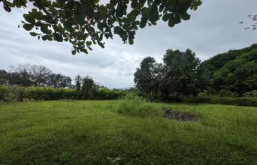 Lot for sale in Orotina.