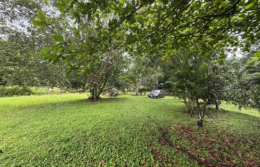 Lot for sale in Orotina.