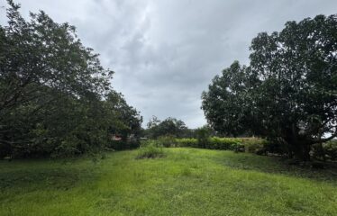 Lot for sale in Orotina.