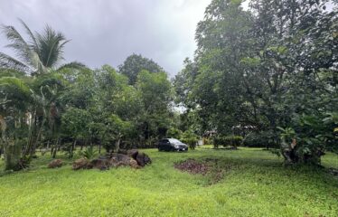 Lot for sale in Orotina.