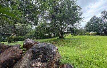 Lot for sale in Orotina.