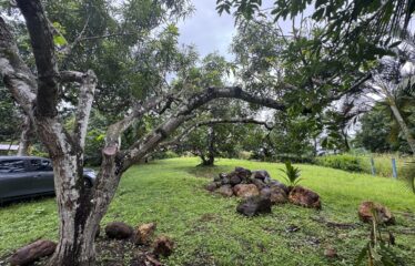 Lot for sale in Orotina.