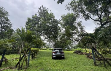 Lot for sale in Orotina.