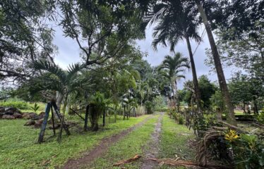 Lot for sale in Orotina.