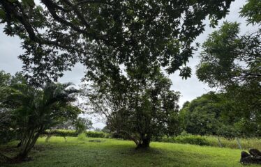 Lot for sale in Orotina.